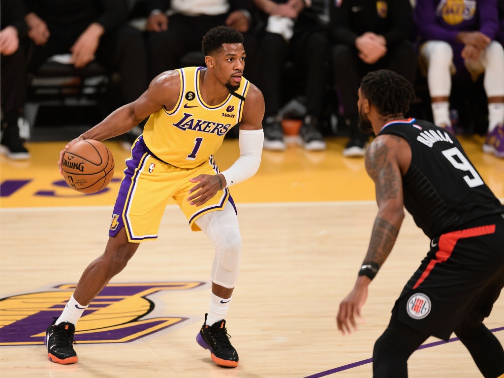 的使用情况 的使用情况