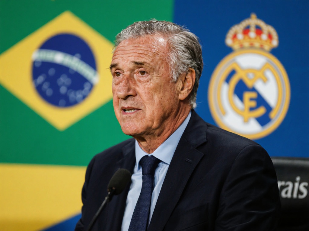 所提供的丰 所提供的丰